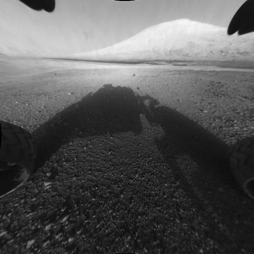 MSL camera view